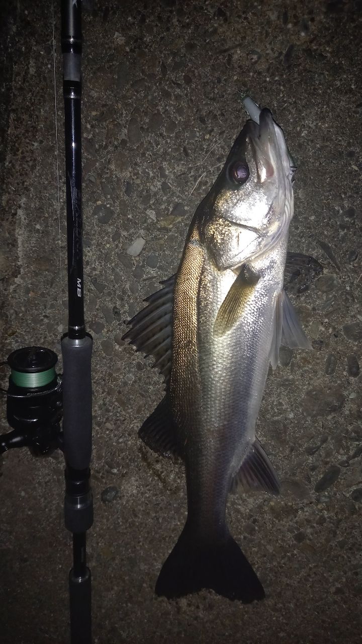 シマノ　ディアルーナ SHIMANO DIALUNA MB S900ML-4 シマノ シマノ ディアルーナ MB S900ML-4 : 釣具のFTO ヤフー店