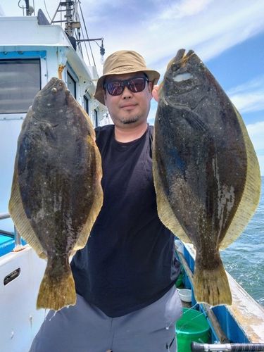 ヒラメの釣果