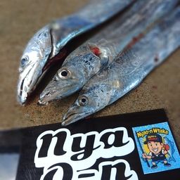 タチウオ
