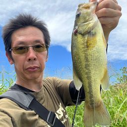 ブラックバス