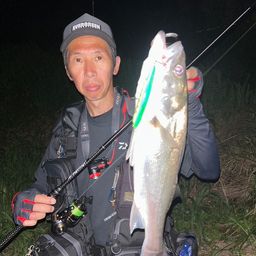 シーバス