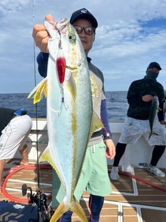 ヒラスの釣果