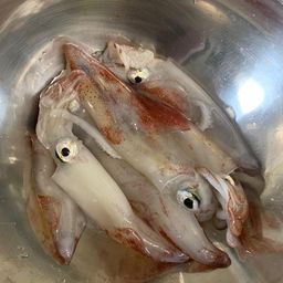 ケンサキイカ