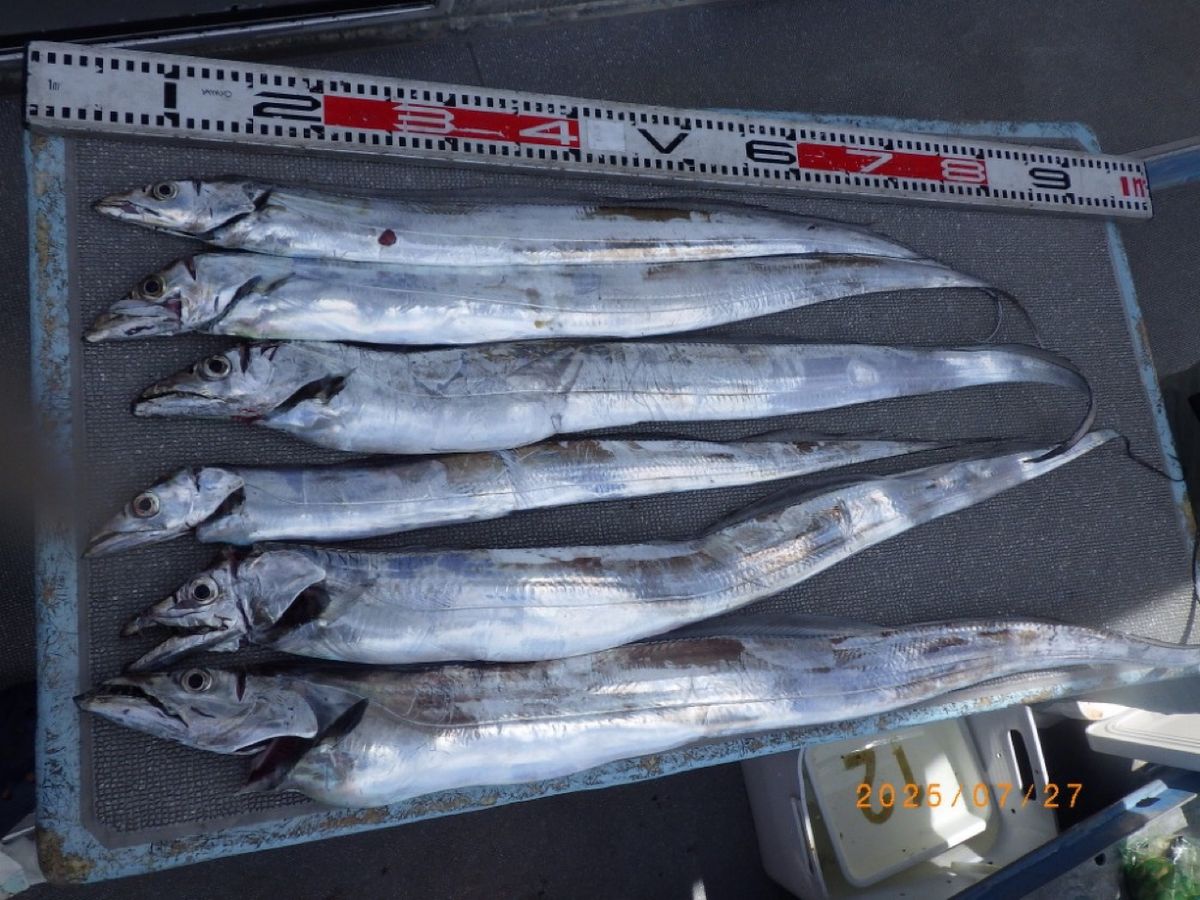 石川釣船@船長さんの釣果 2枚目の画像