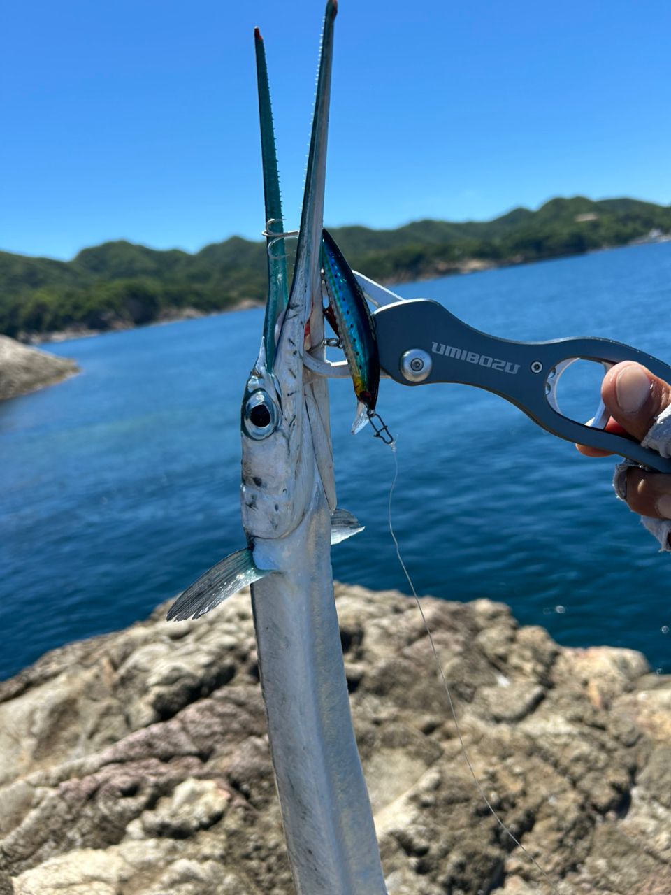 エソ王さんの釣果 3枚目の画像