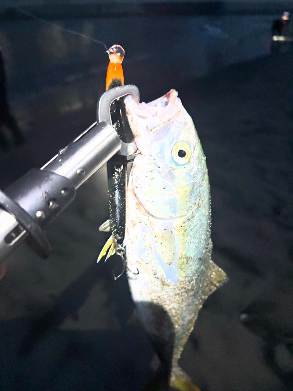 DAIWA - 【中古/美品】 ダイワ 20 月下美人 アジング 68L-S・R   /ST036L 中古/美品】 ダイワ 20 月下美人 アジング 68L-S・R /ST036L