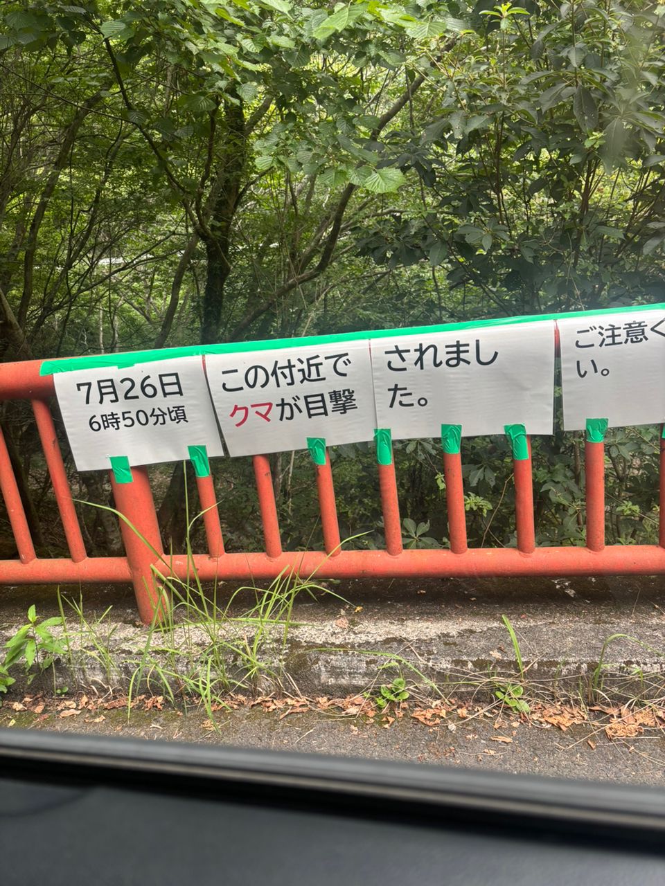 ブラックバス