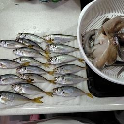 アジ
