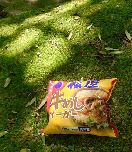 イワナの釣果