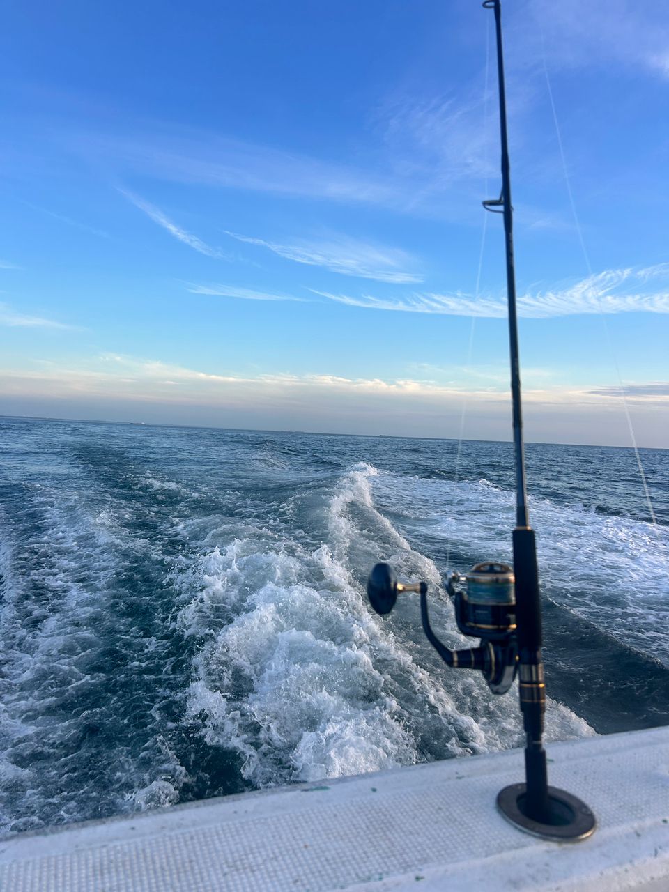 angler-yさんの釣果 2枚目の画像