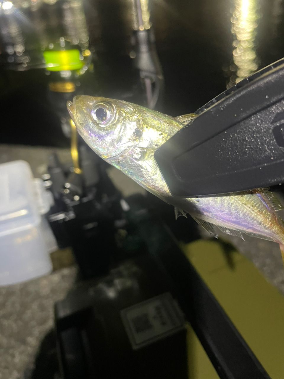SHIMANO - 22ソアレSSアジング S60SUL-S シマノ(SHIMANO) 22ソアレ SS アジング S60SULS(スピニング・2