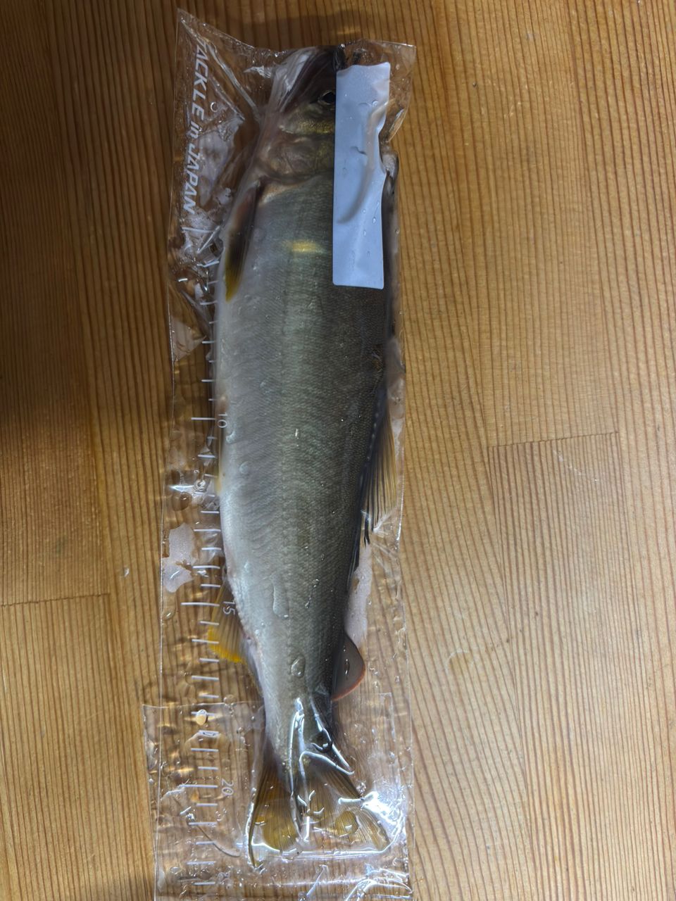 アユ