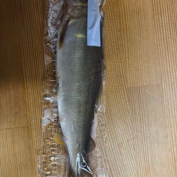 アユ