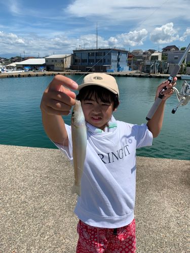 キスの釣果