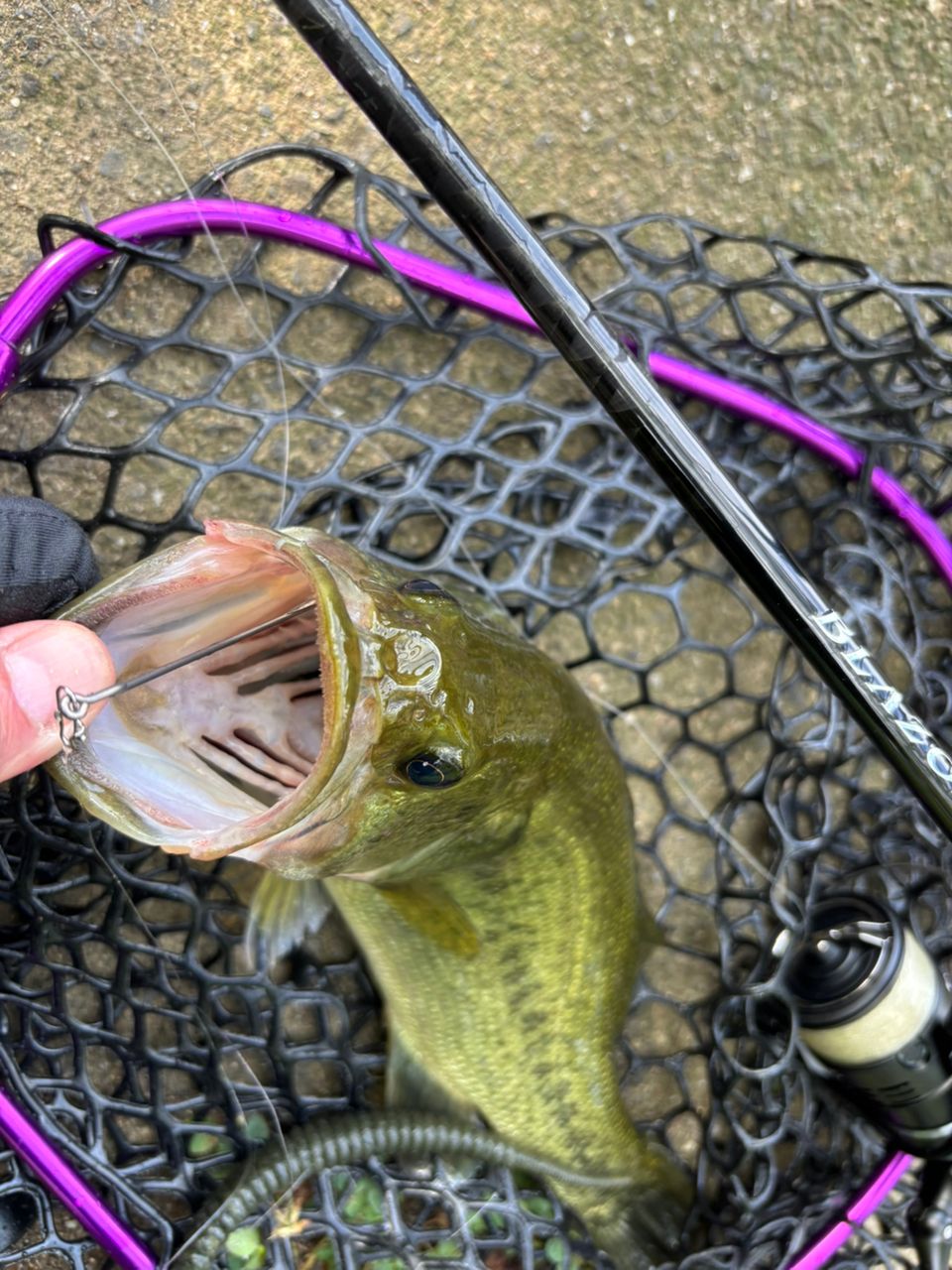 DAIWA 22ブレイゾン S61ML-2・STの最安値・インプレ・釣果