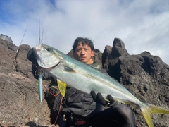 ヒラマサの釣果