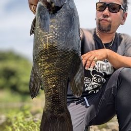 スモールマウスバス