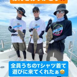 マゴチ
