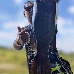 スモールマウスバス