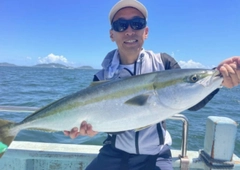 ブリの釣果