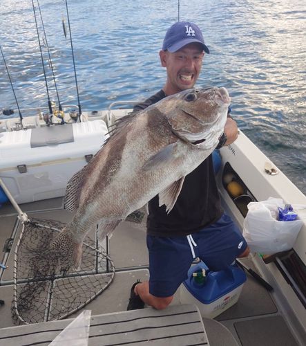 コショウダイの釣果