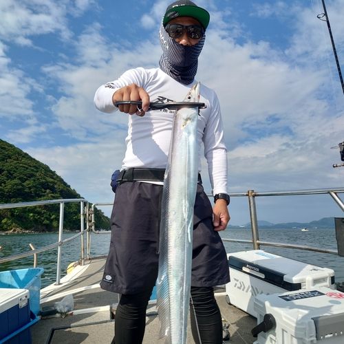 タチウオの釣果