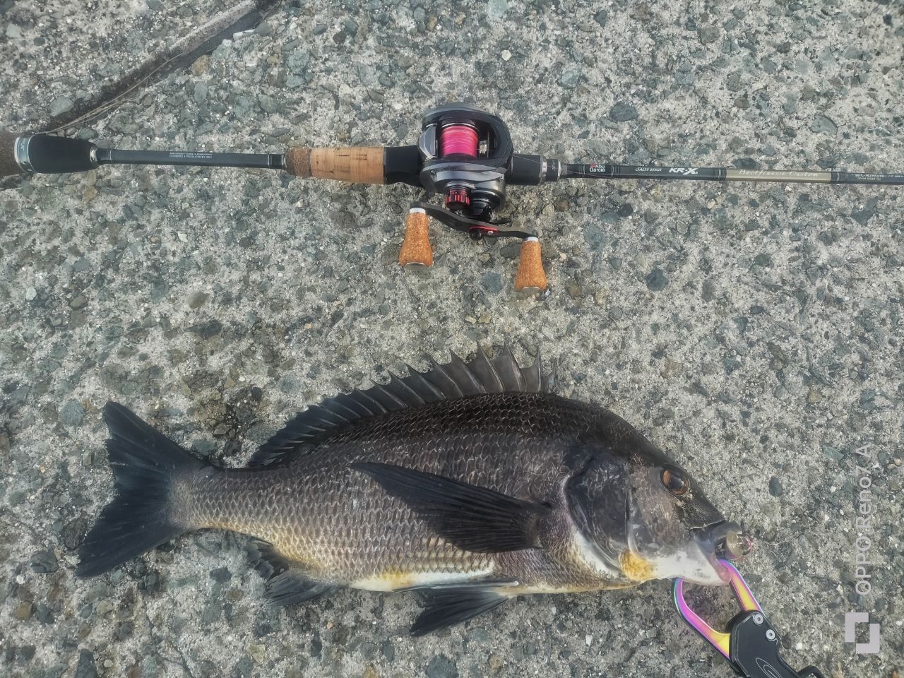 AbuGarcia ソルティーステージ・KR-X・ベイトフィネスカスタムの