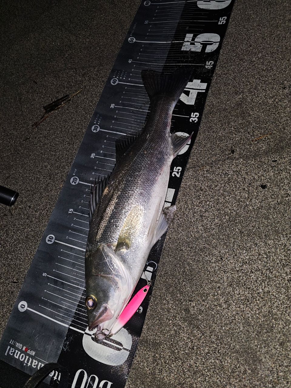 SHIMANO ネッサXR S108＋ Shimano 21 Nessa XR S108M+ – JDM TACKLE HEAVEN