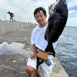 クロダイ