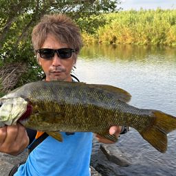 スモールマウスバス