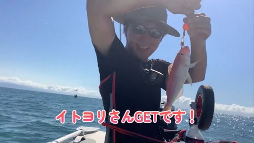 イトヨリダイの釣果
