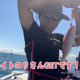 イトヨリダイ