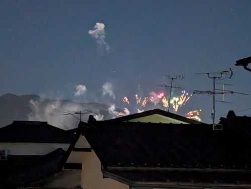 ヤリイカの釣果