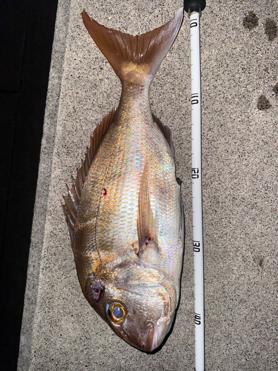 AbuGarcia ソルティーフィールド SFS-832MLの最安値・インプレ