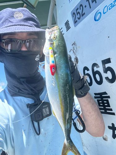 ツバスの釣果