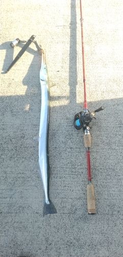 釣果