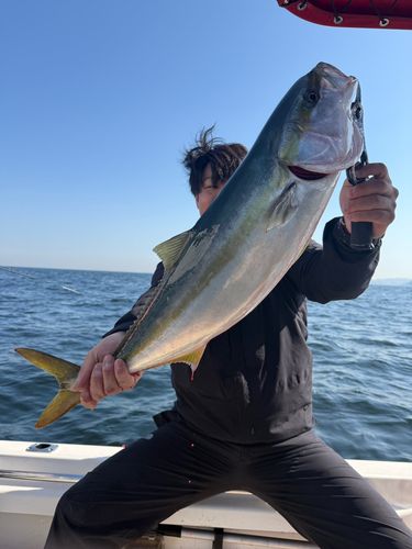 タイの釣果