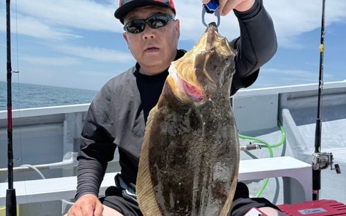 ヒラメの釣果