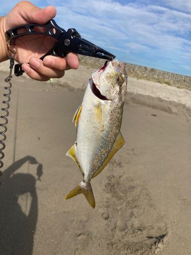 釣果