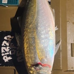 アジ