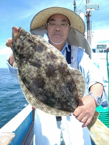 ヒラメの釣果