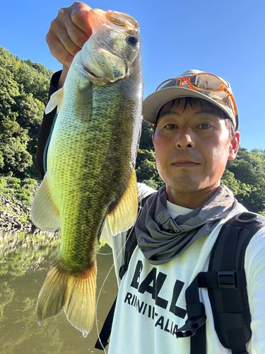 ラージマウスバスの釣果