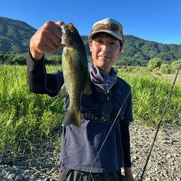 スモールマウスバス