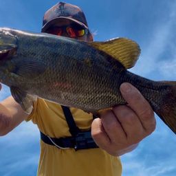 スモールマウスバス