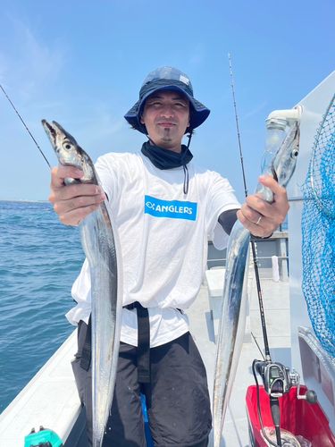 タチウオの釣果