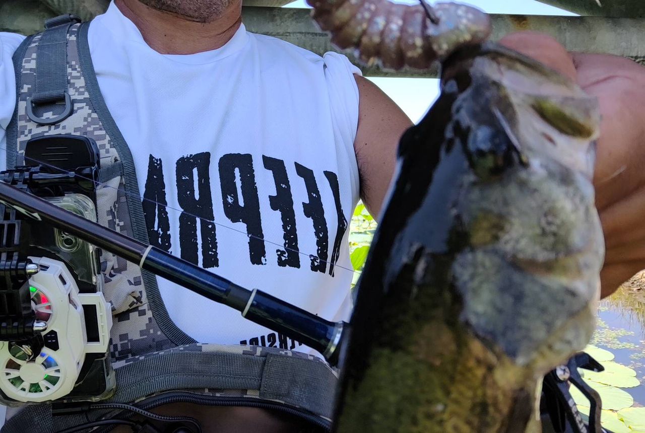 ラージマウスバス