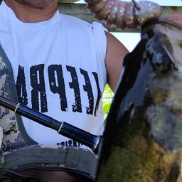 ラージマウスバス