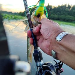 ラージマウスバス