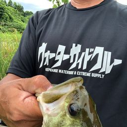 ラージマウスバス