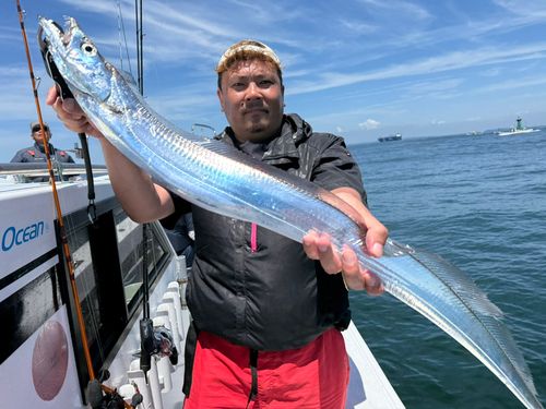 タチウオの釣果
